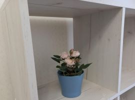 1-к кв. Ростовская область, Новочеркасск Сарматская ул., 11 (35.0 м²) - . Новочеркасск - фото 4