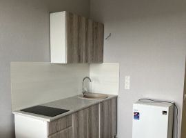 Студия Ростовская область, Ростов-на-Дону Доломановский пер., 128 (21.0 м²) - . Ростов-на-Дону - фото 4