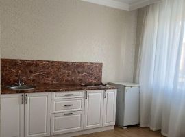 1-к кв. Оренбургская область, Оренбург ул. Терешковой, 263/4 (43.5 м²) - . Оренбург - фото 5