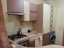 1-к кв. Псковская область, Псков Красноармейская ул., 6 (50.0 м²) - Новокрасноармейская. Псков - фото 14
