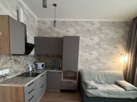 1-к кв. Ленинградская область, Кудрово г. Всеволожский район, Заневское городское поселение, ул. Солнечная, 12 (22.0 м²) - Солнечная поляна. Кудрово г. - фото 1
