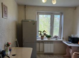 1-к кв. Нижегородская область, Нижний Новгород просп. Гагарина, 210 (38.0 м²) - Гагарина. Нижний Новгород - фото 2