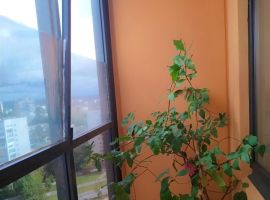 1-к кв. Ленинградская область, Сосновый Бор Парковая ул., 6 (35.0 м²) - Парковая. Сосновый Бор - фото 1