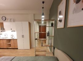 Студия Костромская область, Кострома 1 Мая ул., 10 (30.0 м²) - . Кострома - фото 3