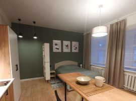 Студия Костромская область, Кострома 1 Мая ул., 10 (30.0 м²) - . Кострома - фото 8
