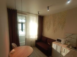 1-к кв. Московская область, Пушкино Ярославское ш., 149к3 (31.0 м²) - . Пушкино - фото 5
