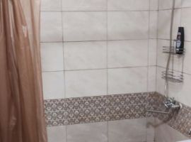 1-к кв. Псковская область, Псков Ольгинская наб., 9 (33.0 м²) - . Псков - фото 6