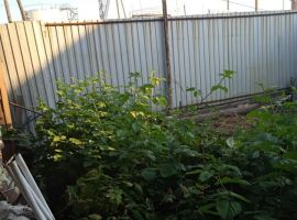 Дом в Оренбургская область, Оренбург Деповская ул., 90 (65 м²) - Деповская. Оренбург - фото 1