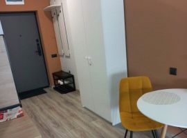 Студия Новосибирская область, Новосибирск Ипподромская ул., 15 (26.1 м²) - . Новосибирск - фото 7