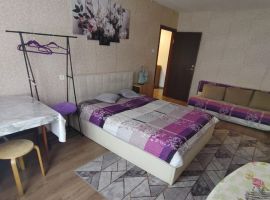 2-к кв. Псковская область, Псков Красноармейская ул., 14А (56.0 м²) - Новокрасноармейская. Псков - фото 3