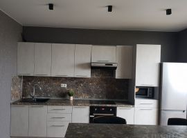 Студия Пензенская область, Пенза ул. Плеханова, 14 (55.0 м²) - . Пенза - фото 8