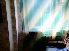 1-к кв. Нижегородская область, Нижний Новгород просп. Ильича, 10 (28.0 м²) - Ильича. Нижний Новгород - фото 1