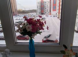 1-к кв. Новгородская область, Великий Новгород Большая Московская ул., 128к1 (30.0 м²) - . Великий Новгород - фото 6