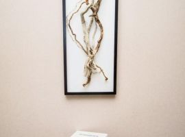 3-к кв. Саратовская область, Балаково ул. Академика Жук, 2 (100.0 м²) - . Балаково - фото 36
