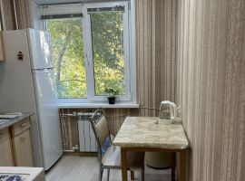 1-к кв. Оренбургская область, Ясный  (33.0 м²) - . Ясный - фото 4