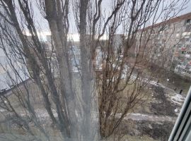 1-к кв. Курская область, Курчатов ул. Мира, 16 (35.0 м²) - Мира. Курчатов - фото 4
