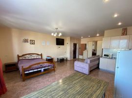 1-к кв. Пензенская область, Пенза ул. Пушкина, 7 (50.0 м²) - ГСК Пушкина 268. Пенза - фото 4