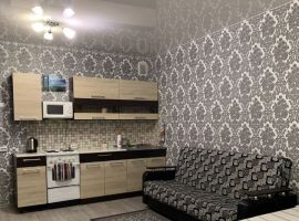 Студия Новосибирская область, Новосибирск ул. Николая Сотникова, 3 (33.0 м²) - . Новосибирск - фото 2