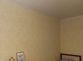 2-к кв. Саратовская область, Маркс просп. Ленина, 38 (44.0 м²) - Ленина. Маркс - фото 5