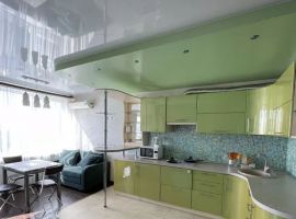 1-к кв. Саратовская область, Саратов ул. Имени В.С. Зарубина, 51 (45.0 м²) - . Саратов - фото 3