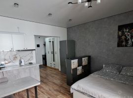 Студия Ленинградская область, Гатчина ул. Чехова, 41 (31.0 м²) - Чехова. Гатчина - фото 10