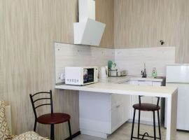 Студия Пермский край, Пермь ул. Куйбышева, 109А (26.0 м²) - Куйбышева. Пермь - фото 1