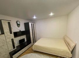 1-к кв. Пензенская область, Пенза ул. Терновского, 251 (45.0 м²) - . Пенза - фото 3