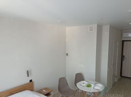 Студия Новосибирская область, Новосибирск ул. Кирова, 113/2 (20.0 м²) - Кирова (ГСК N 740 тер.). Новосибирск - фото 5