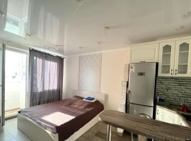 Студия Курская область, Курск просп. Надежды Плевицкой, 35 (25.0 м²) - . Курск - фото 1
