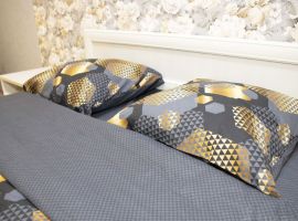 1-к кв. Костромская область, Кострома ул. Евгения Ермакова, 1к1 (43.0 м²) - . Кострома - фото 2