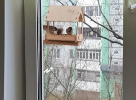2-к кв. Костромская область, Кострома ул. Скворцова, 12 (42.0 м²) - . Кострома - фото 19