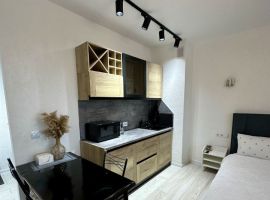 Студия Ленинградская область, Всеволожск Октябрьский просп., 74 (30.0 м²) - . Всеволожск - фото 3