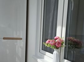 Студия Нижегородская область, Нижний Новгород ул. Новокузнечихинская, 7 (27.0 м²) - . Нижний Новгород - фото 13