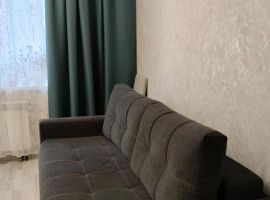 Студия Новосибирская область, Новосибирск ул. Добролюбова, 16/1 (25.0 м²) - . Новосибирск - фото 2
