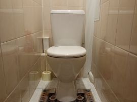 2-к кв. Псковская область, Псков Гдовская ул., 4 (53.0 м²) - . Псков - фото 6