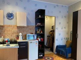 Студия Ленинградская область, Коммунар Гатчинский район, Железнодорожная ул., 35 (27.0 м²) - Железнодорожная (Орлов Овраг тер.). Коммунар - фото 7