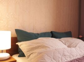 3-к кв. Нижегородская область, Нижний Новгород Ижорская ул., 52 (53.0 м²) - Ижорская. Нижний Новгород - фото 2