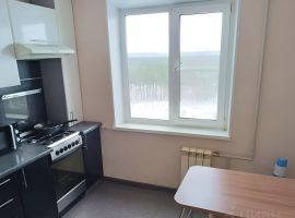 2-к кв. Нижегородская область, Дзержинск просп. Циолковского, 100 (55.0 м²) - Циолковского. Дзержинск - фото 3