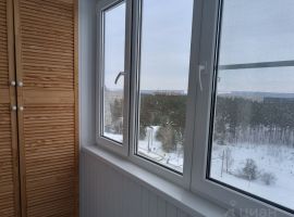 2-к кв. Нижегородская область, Дзержинск просп. Циолковского, 100 (55.0 м²) - Циолковского. Дзержинск - фото 8