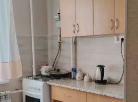 1-к кв. Псковская область, Великие Луки пер. Пескарева, 1к1 (37.0 м²) - . Великие Луки - фото 3