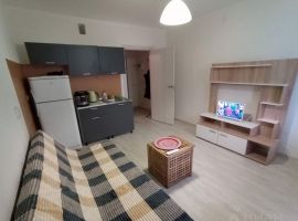 Студия Ленинградская область, Кировск Новая ул., 23 (20.0 м²) - Каштановая. Кировск - фото 1