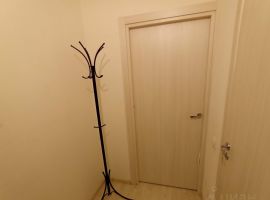 Студия Ленинградская область, Кировск Новая ул., 23 (20.0 м²) - Каштановая. Кировск - фото 3