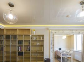 1-к кв. Новосибирская область, Новосибирск ул. Кирова, 27/3 (80.0 м²) - Кирова (ГСК N 740 тер.). Новосибирск - фото 11