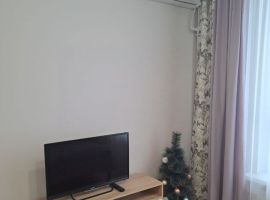 Студия Московская область, Химки Молодежная ул., 61 (23.0 м²) - Молодежная. Химки - фото 3
