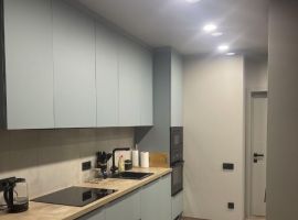 1-к кв. Московская область, Королев Пионерская ул., 30к15 (43.0 м²) - Пионерская. Королев - фото 12