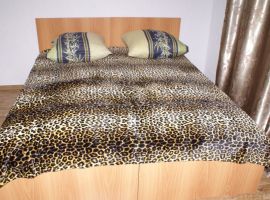 1-к кв. Ульяновская область, Барыш ул. Пушкина, 27 (22.0 м²) - ГСК Пушкина 268. Барыш - фото 1