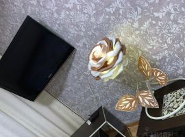 1-к кв. Псковская область, Псков Гражданская ул., 15 (32.0 м²) - . Псков - фото 19