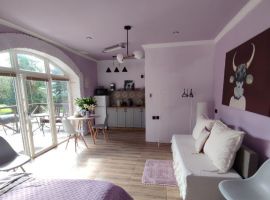 Студия Ленинградская область, Приозерск ул. Крупской, 10 (30.0 м²) - Крупской. Приозерск - фото 2