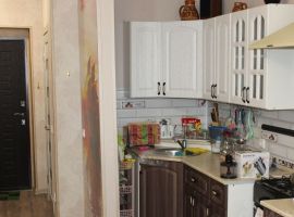 Студия Костромская область, Кострома ул. Нижняя Дебря, 32Б (23.0 м²) - . Кострома - фото 6