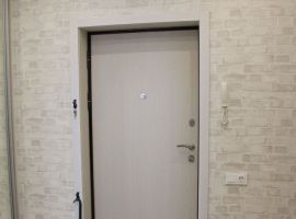 1-к кв. Новосибирская область, Новосибирск ул. Фрунзе, 20 (40.0 м²) - Фрунзе. Новосибирск - фото 12